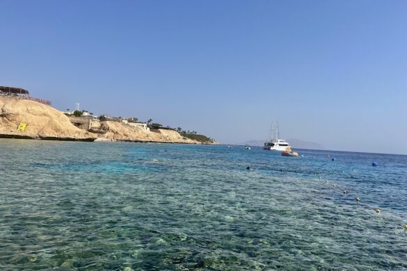 Shark S Bay Beach - SillySuitcase