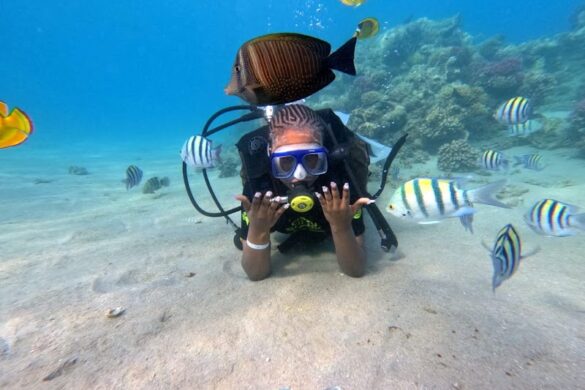 Sharm El Sheikh Tours - SillySuitcase