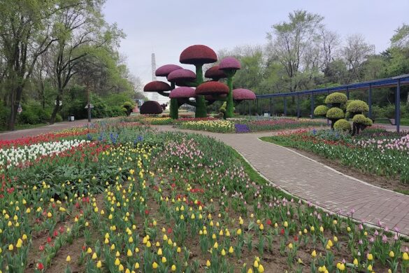 Shenyang Botanical Garden - SillySuitcase