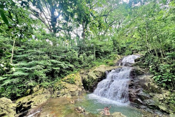 Sleeping Giant Zipline Orchid Falls Jungle Safari - SillySuitcase