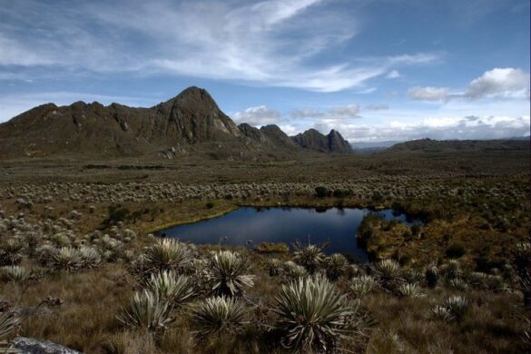 Sumapaz P Ramo - SillySuitcase