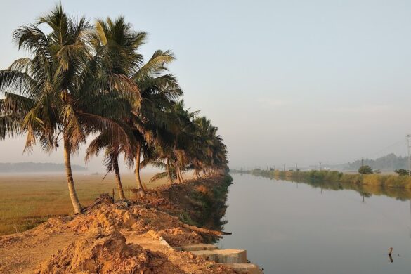 Sunset View Point Nedupuzha - SillySuitcase