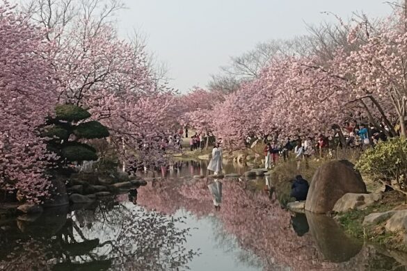 Taihu Yuantouzhu Scenic Area Southwest Gate - SillySuitcase