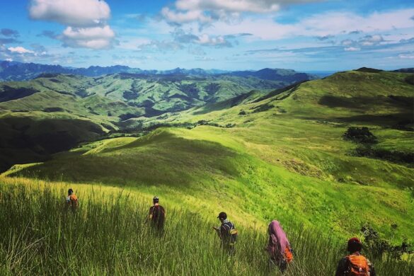 Talanoa Treks - SillySuitcase
