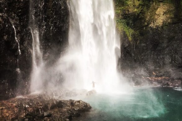 Talanoa Treks - SillySuitcase