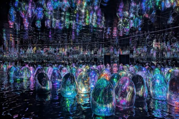 Teamlab Phenomena - SillySuitcase