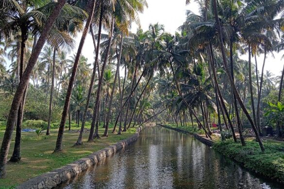 Thambankadavu Arappa Beach - SillySuitcase