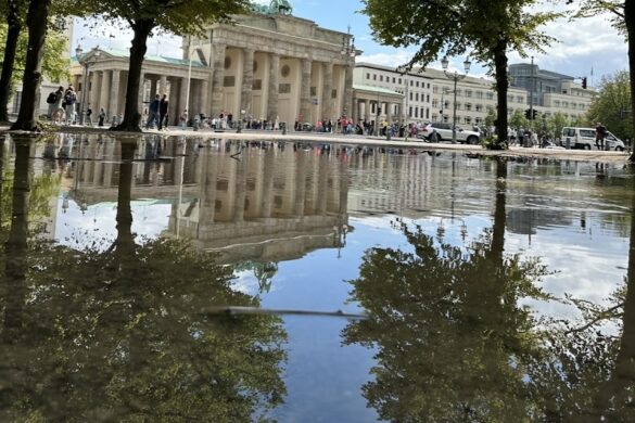 The Berlin Expert - SillySuitcase