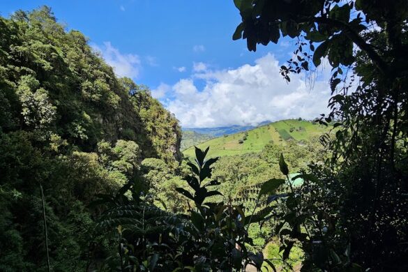 The True Colombian Experience - SillySuitcase