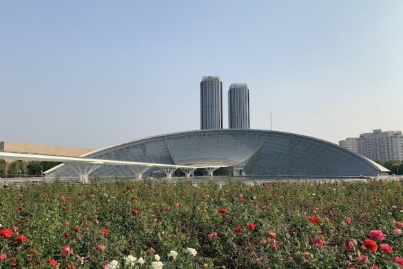 Tianjin Museum - SillySuitcase