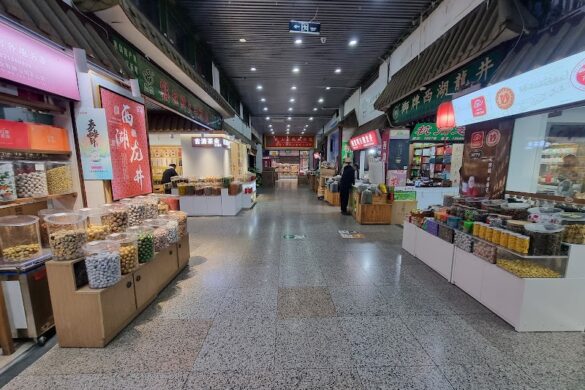 Tianshan Tea City - SillySuitcase