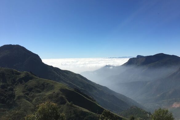 Top Station View Point - SillySuitcase