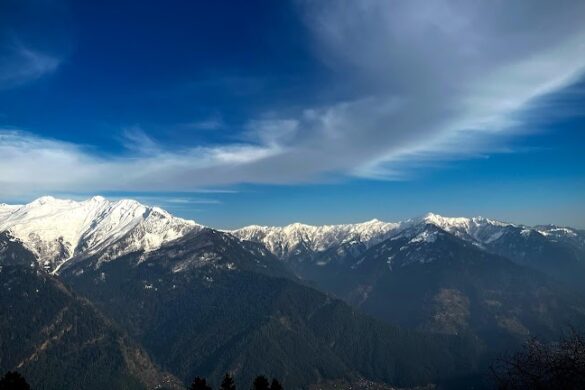 Treking Hiking - SillySuitcase
