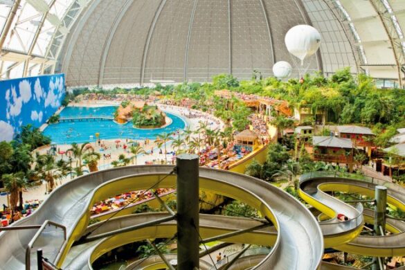 Tropical Islands - SillySuitcase