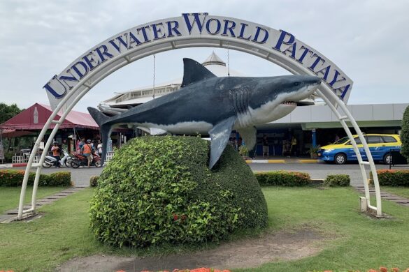 Underwater World Pattaya - SillySuitcase