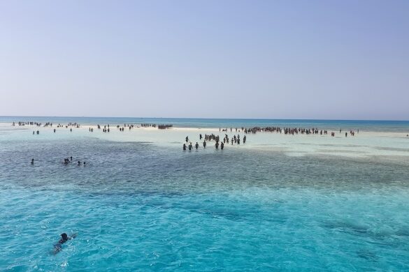 White Island - SillySuitcase