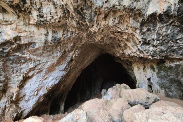 Wild Crete Safari - SillySuitcase
