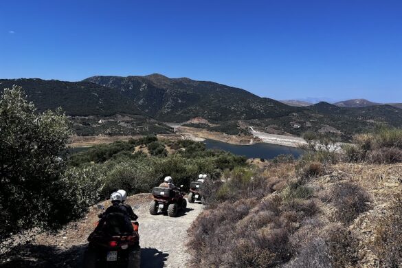 Wild Crete Safari - SillySuitcase