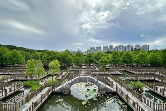 Wuyuanwan Wetland Park - SillySuitcase