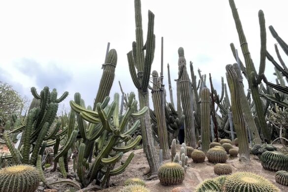 Xiamen Botanical Garden Northwest Gate - SillySuitcase