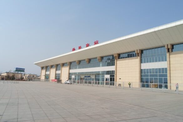 Yangling Insect Museum - SillySuitcase