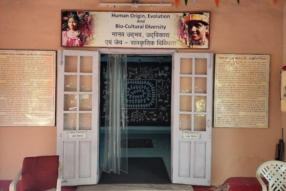 Zonal Anthropological Museum - SillySuitcase