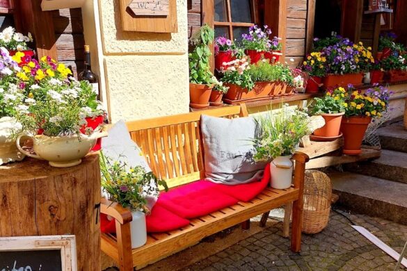 Zum Alten Markt - SillySuitcase