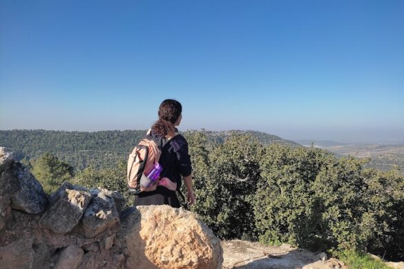 Adventure Israel - SillySuitcase