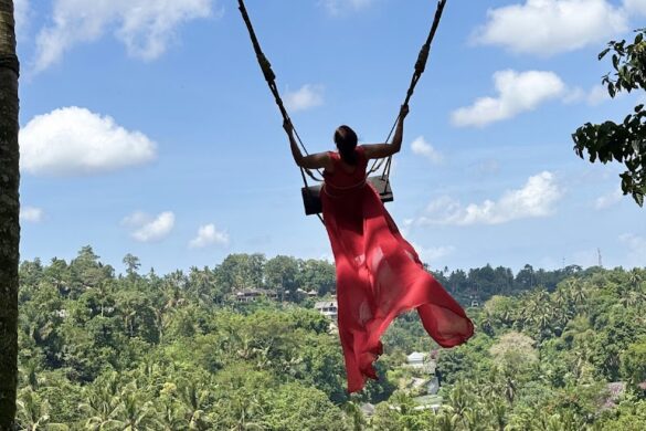Bali Bahama Adventure - SillySuitcase