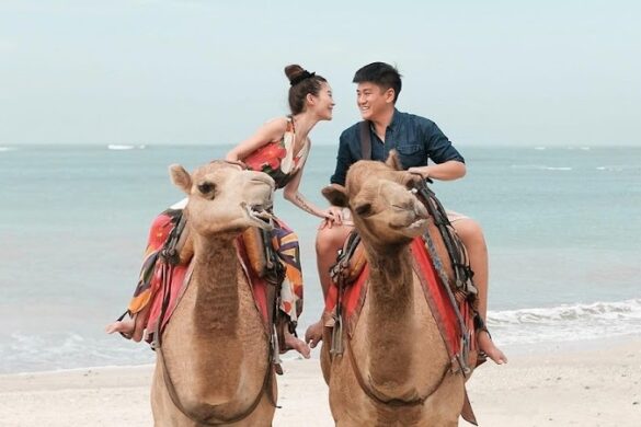 Bali Camel Adventure - SillySuitcase