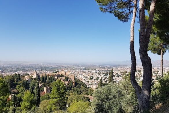 Dehesa Del Generalife - SillySuitcase