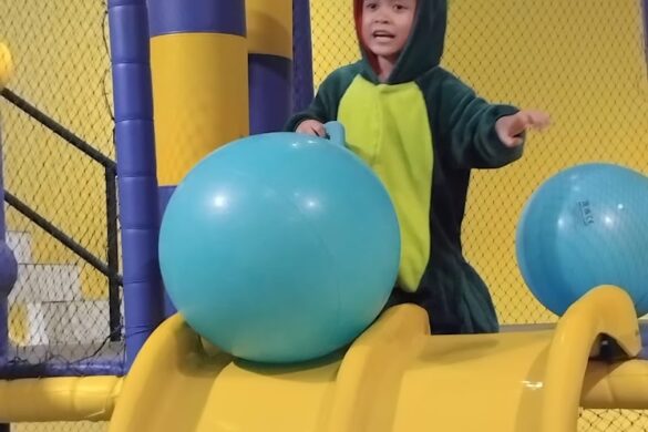 Dino Play Playground Manukan - SillySuitcase