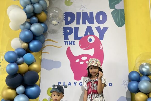 Dino Play Playground Sidoyoso - SillySuitcase