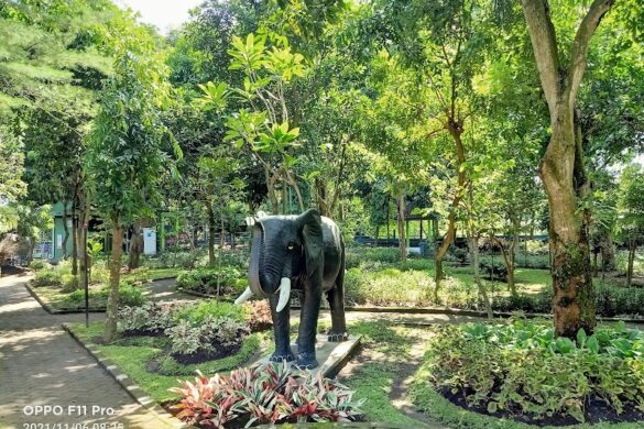 Gajah Wong Educational Park - SillySuitcase