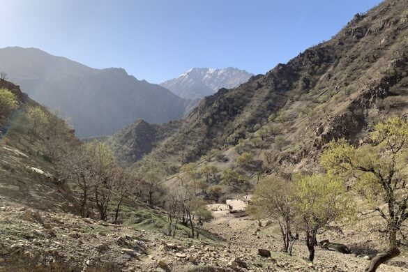 Iranomad Tours - SillySuitcase