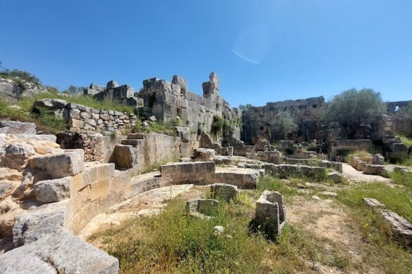 Israel S Lookout - SillySuitcase