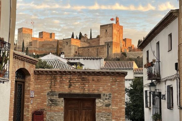 Modesto Visita Guidata Alhambra - SillySuitcase