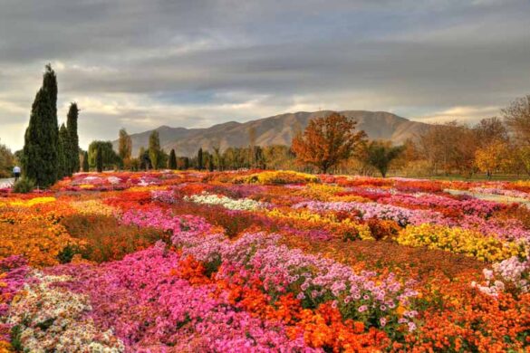 National Botanical Garden Of Iran - SillySuitcase