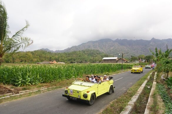 Outbound Jogja Tempat Outbound Jogja - SillySuitcase