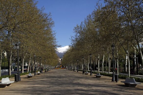 Paseo De La Bomba - SillySuitcase
