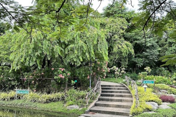 Queen Sirikit Park - SillySuitcase