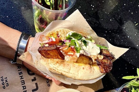 Sabich Frishman - SillySuitcase