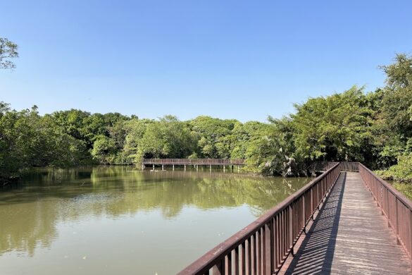 Sri Nakhon Khuean Khan Park And Botanical Garden - SillySuitcase