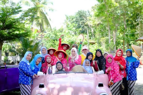 Surya Tour Org - SillySuitcase