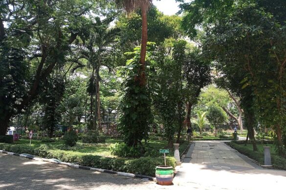 Taman Flora Bratang Surabaya - SillySuitcase