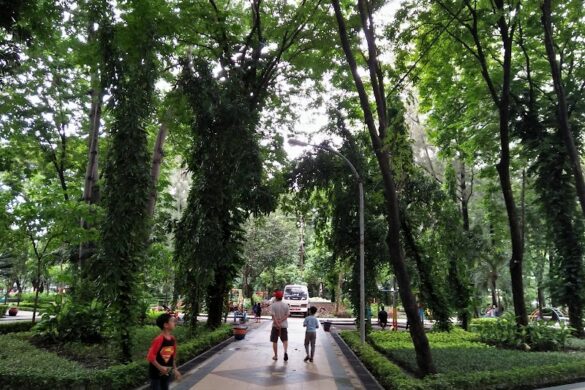 Taman Flora Bratang Surabaya - SillySuitcase