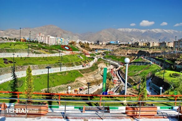 Tehran Picture Agency - SillySuitcase