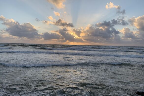 Tel Aviv Port - SillySuitcase