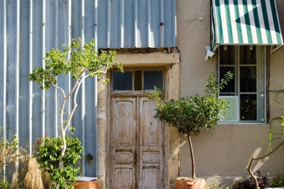 The Local Tel Aviv Tours - SillySuitcase