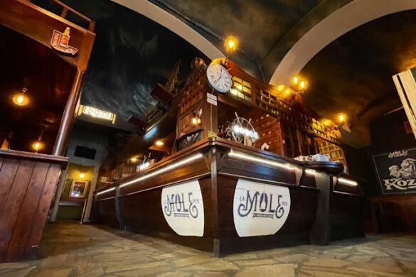 Tmpoo Ilo5F - SillySuitcase